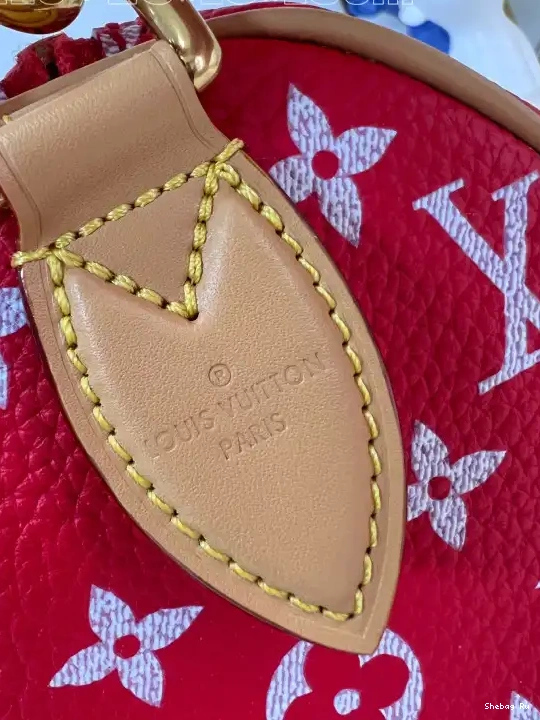 25 Vuitton Louis SPEEDY 0524